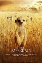 Watch Meerkats: The Movie Zumvo