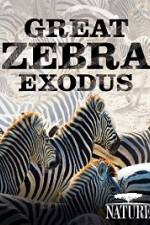 Watch Nature: Great Zebra Exodus Zumvo