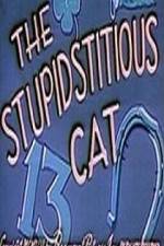 Watch Stupidstitious Cat Zumvo