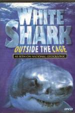 Watch National Geographic white shark:outside the cage Zumvo