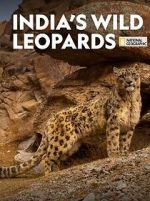 Watch India\'s Wild Leopards (Short 2020) Zumvo