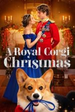 Watch A Royal Corgi Christmas Zumvo