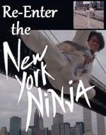 Watch Re-Enter the New York Ninja Zumvo