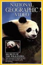 Watch Secrets of the Wild Panda Zumvo