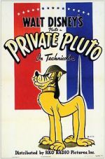 Watch Private Pluto (Short 1943) Zumvo