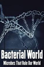 Watch Bacterial World Zumvo