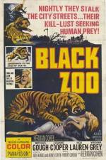 Watch Black Zoo Zumvo