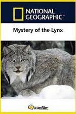 Watch Mystery of the Lynx Zumvo