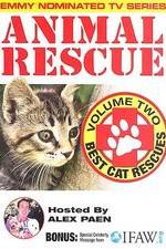 Watch Animal Rescue, Volume 2: Best Cat Rescues Zumvo