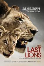 Watch The Last Lions Zumvo