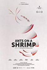 Watch Ants on a Shrimp Zumvo