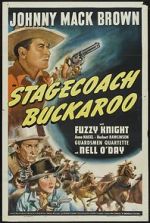 Watch Stagecoach Buckaroo Zumvo