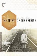 Watch The Spirit of the Beehive Zumvo