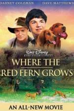 Watch Where the Red Fern Grows Zumvo