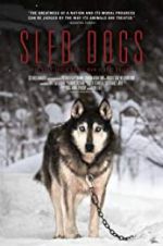 Watch Sled Dogs Zumvo