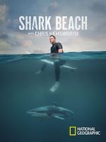 Watch Shark Beach with Chris Hemsworth (TV Special 2021) Zumvo