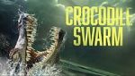 Watch Crocodile Swarm Zumvo