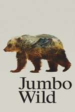 Watch Jumbo Wild Zumvo