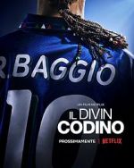 Watch Baggio: The Divine Ponytail Zumvo