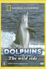 Watch Dolphins: The Wild Side Zumvo