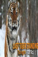Watch Discovery Channel-Last Tiger Standing Zumvo