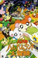 Watch Hamtaro: Adventures in Ham-Ham Land Zumvo