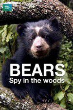 Watch Bears: Spy in the Woods Zumvo