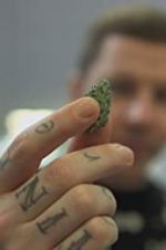 Watch Professor Green: Is It Time to Legalise Weed? Zumvo