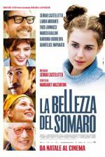 Watch La bellezza del somaro Zumvo