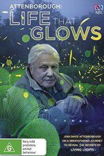 Watch Attenborough\'s Life That Glows Zumvo