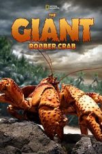 Watch The Giant Robber Crab Zumvo