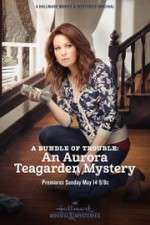 Watch A Bundle of Trouble: An Aurora Teagarden Mystery Zumvo