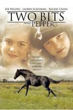 Watch Two Bits and Pepper Zumvo