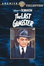 Watch The Last Gangster Zumvo