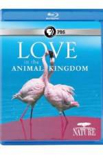 Watch Nature: Love in the Animal Kingdom Zumvo