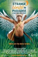 Watch Strange Birds in Paradise A West Papuan Story Zumvo