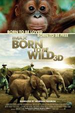 Watch Born to Be Wild Zumvo