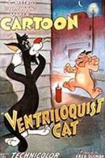Watch Ventriloquist Cat Zumvo