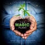 Watch The Magic Plant Zumvo