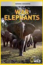 Watch War Elephants Zumvo