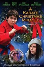 Watch A Karate Christmas Miracle Zumvo