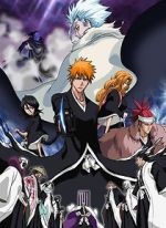 Watch Bleach the Movie 2: The Diamond Dust Rebellion Zumvo