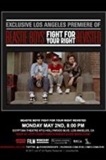 Watch Beastie Boys: Fight for Your Right Revisited Zumvo