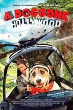 Watch A Doggone Hollywood Zumvo