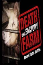 Watch Death on a Factory Farm Zumvo