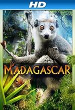 Watch Madagascar 3D Zumvo