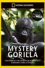 Watch National Geographic Mystery Gorilla Zumvo