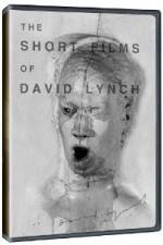 Watch The Short Films of David Lynch Zumvo