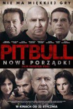 Watch Pitbull. New orders Zumvo