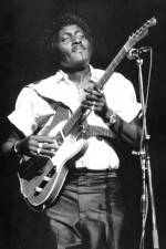 Watch Albert Collins in Concert Zumvo